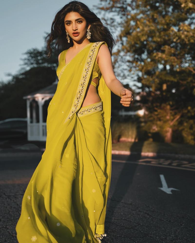 sreeleela-hot-saree-photos